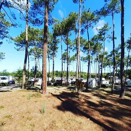 Les Dunes De Contis 4 Etoiles A St Julien En Born Emplacement 490 3ch 1sdb 6 Personnes