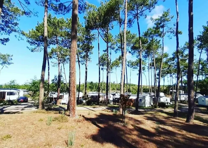 Les Dunes De Contis 4 Etoiles A St Julien En Born Emplacement 490 3ch 1sdb 6 Personnes